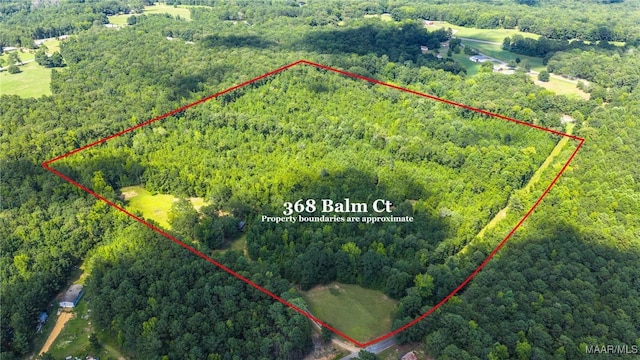 368 Balm Ct, Wetumpka, AL 36092 - photo 8
