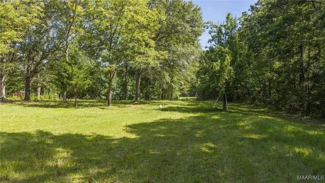 368 Balm Ct, Wetumpka, AL 36092 - photo 11