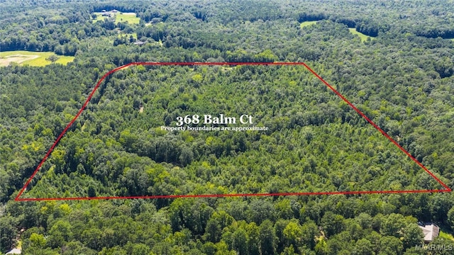 368 Balm Ct, Wetumpka, AL 36092 - photo 9
