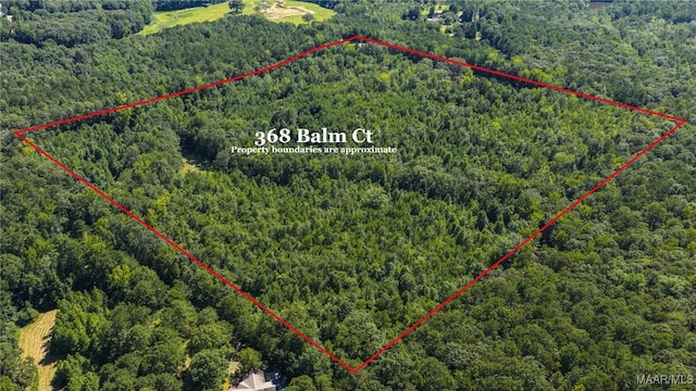 368 Balm Ct, Wetumpka, AL 36092 - photo 10