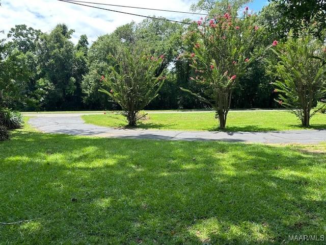 4080 Main St, Millbrook, AL 36054 - photo 7
