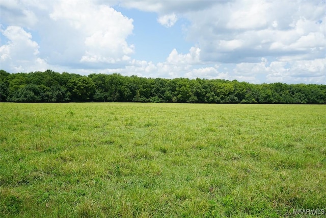 1105 Rittenour Rd, Grady, AL 36064 - photo 1