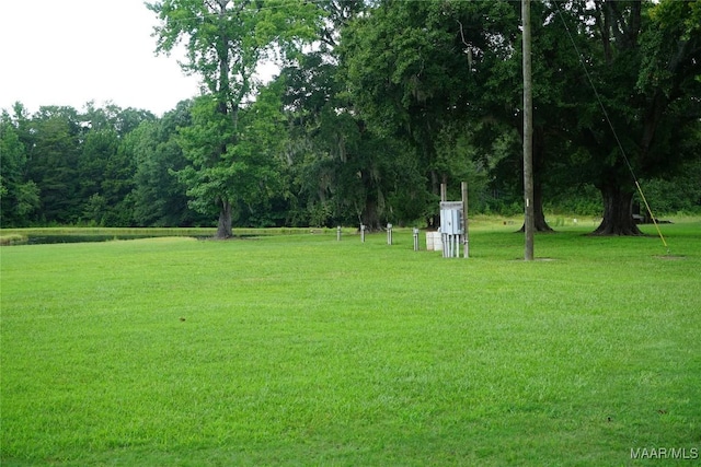 686 Pugh Rd, Mathews, AL 36052 - photo 8