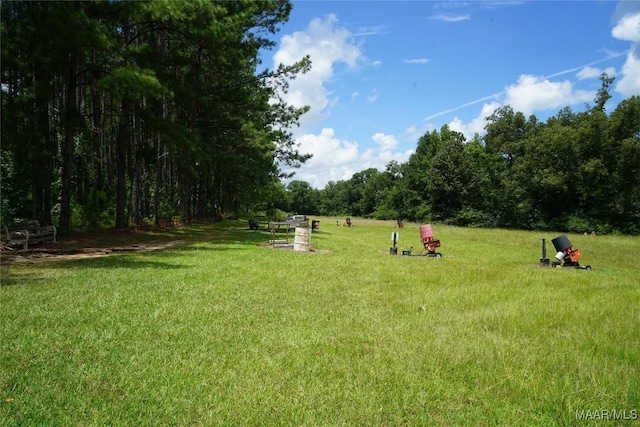 686 Pugh Rd, Mathews, AL 36052 - photo 11
