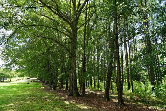 686 Pugh Rd, Mathews, AL 36052 - photo 13