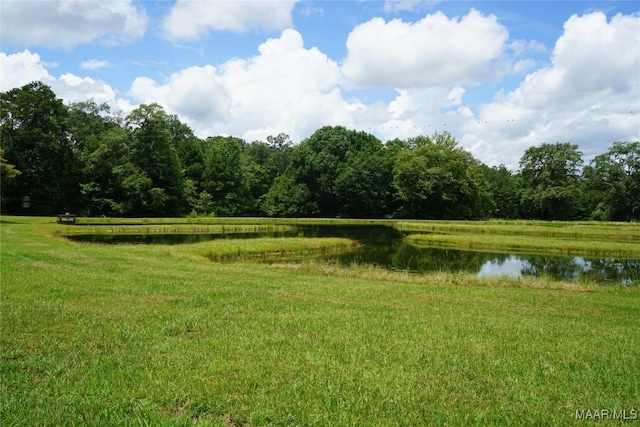686 Pugh Rd, Mathews, AL 36052 - photo 14