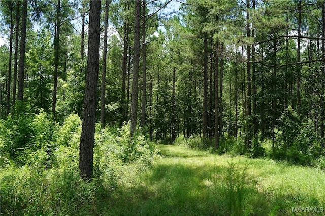 686 Pugh Rd, Mathews, AL 36052 - photo 15