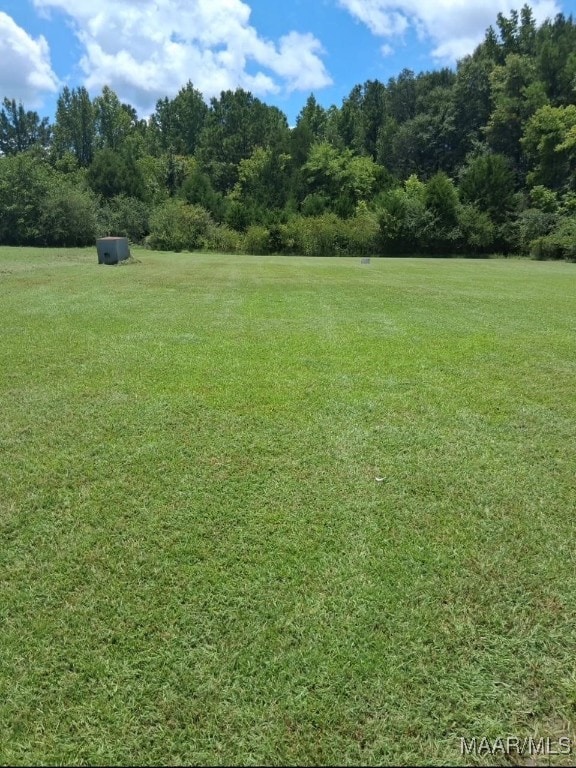 1701 County Road 306th Rd, Selma, AL 36703 - photo 2