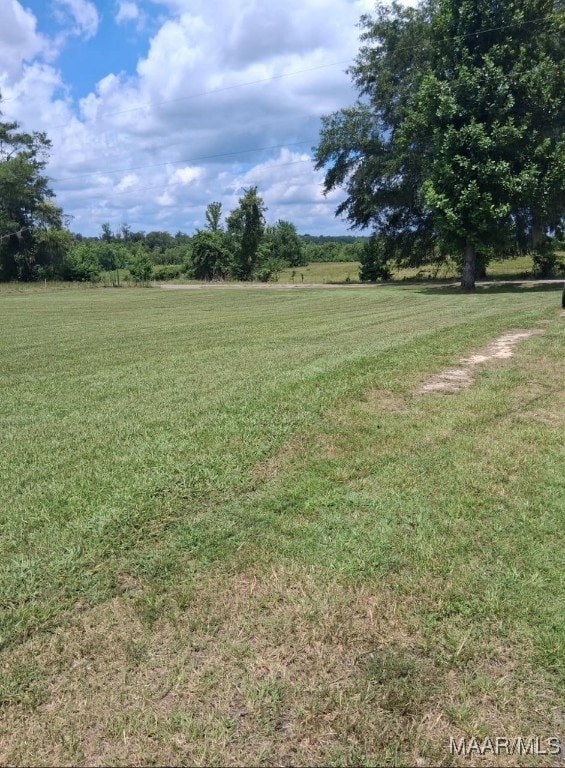 1701 County Road 306th Rd, Selma, AL 36703 - photo 3