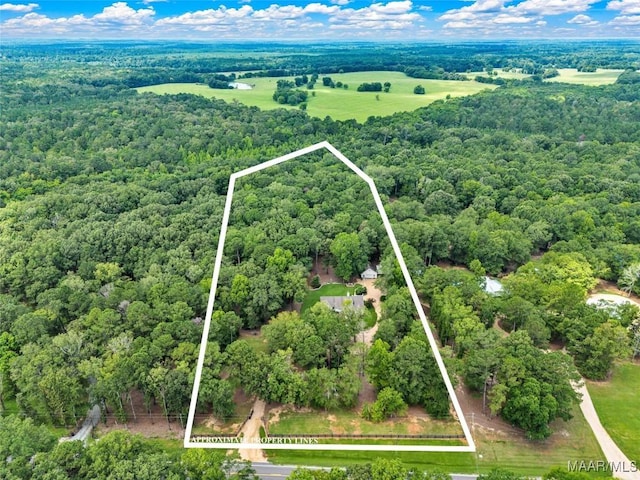 13884 Old Pike Rd, Mathews, AL 36052 - photo 56