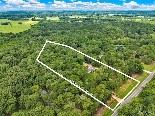 13884 Old Pike Rd, Mathews, AL 36052 - photo 57