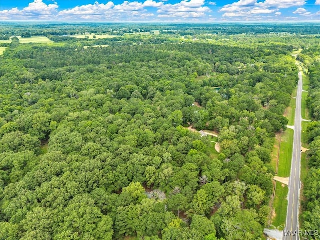 13884 Old Pike Rd, Mathews, AL 36052 - photo 58