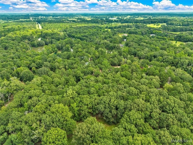 13884 Old Pike Rd, Mathews, AL 36052 - photo 59