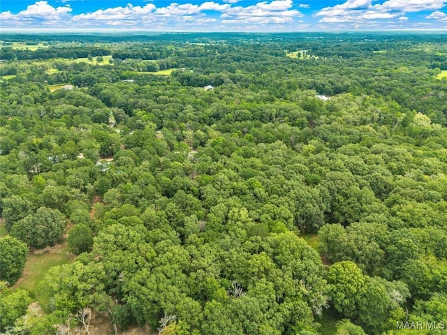 13884 Old Pike Rd, Mathews, AL 36052 - photo 61