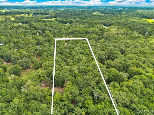 13884 Old Pike Rd, Mathews, AL 36052 - photo 62