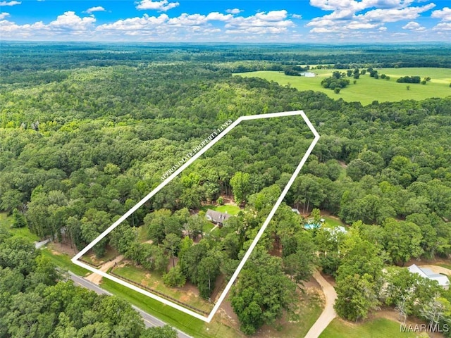 13884 Old Pike Rd, Mathews, AL 36052 - photo 63