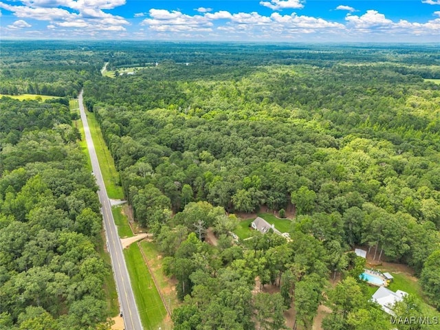 13884 Old Pike Rd, Mathews, AL 36052 - photo 64