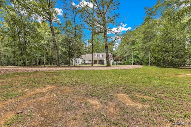 13884 Old Pike Rd, Mathews, AL 36052 - photo 41
