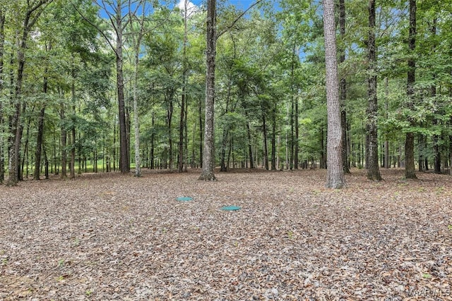 13884 Old Pike Rd, Mathews, AL 36052 - photo 42