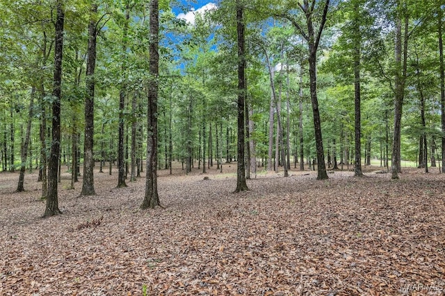 13884 Old Pike Rd, Mathews, AL 36052 - photo 43
