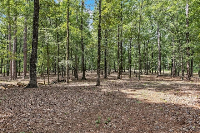 13884 Old Pike Rd, Mathews, AL 36052 - photo 5