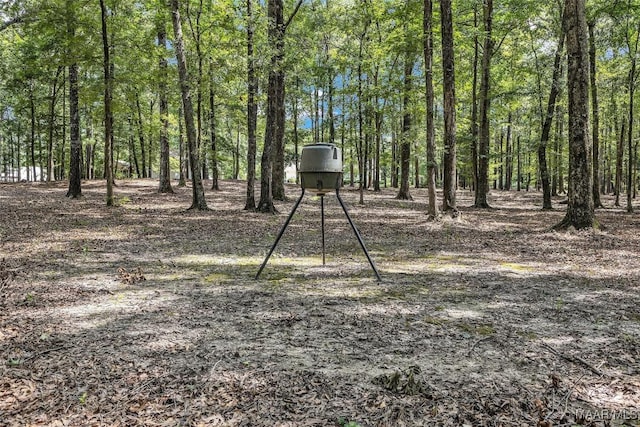 13884 Old Pike Rd, Mathews, AL 36052 - photo 44