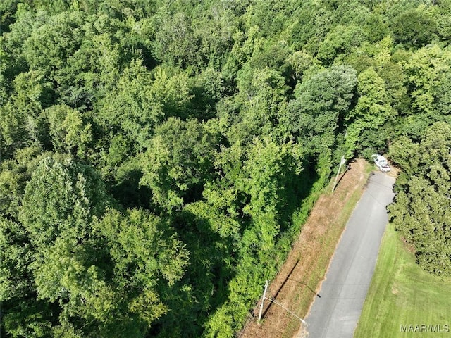 0 1st Pl S, Pell City, AL 35125 - photo 3