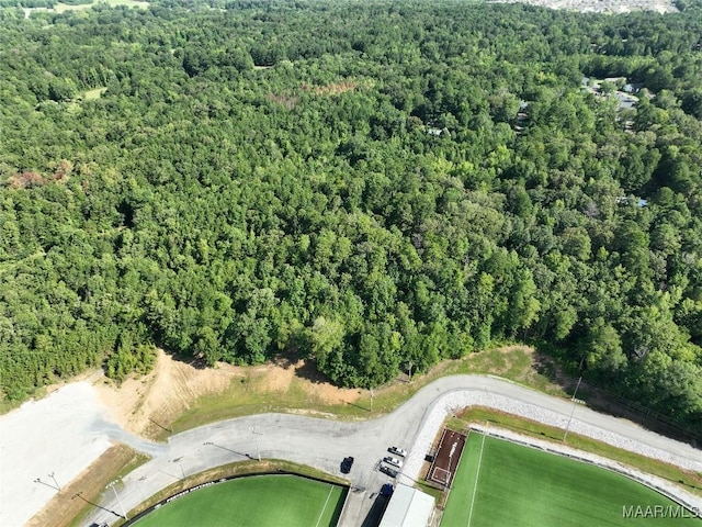 0 1st Pl S, Pell City, AL 35125 - photo 7