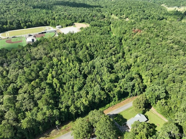0 1st Pl S, Pell City, AL 35125 - photo 6