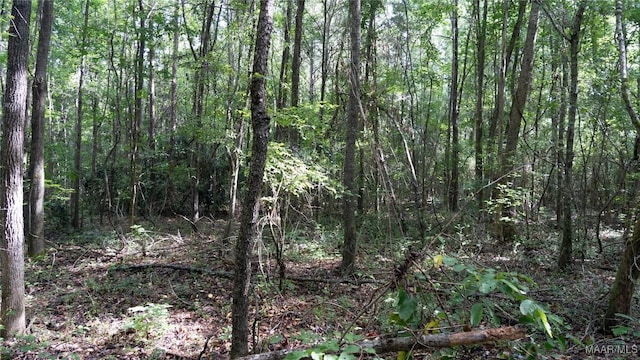 0 1st Pl S, Pell City, AL 35125 - photo 29