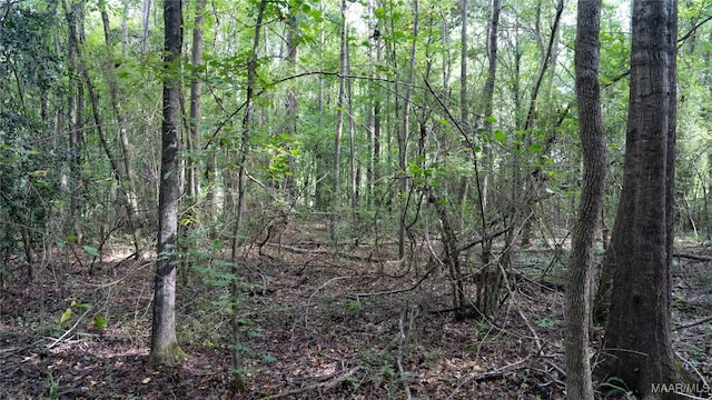 0 1st Pl S, Pell City, AL 35125 - photo 30