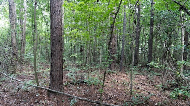 0 1st Pl S, Pell City, AL 35125 - photo 31