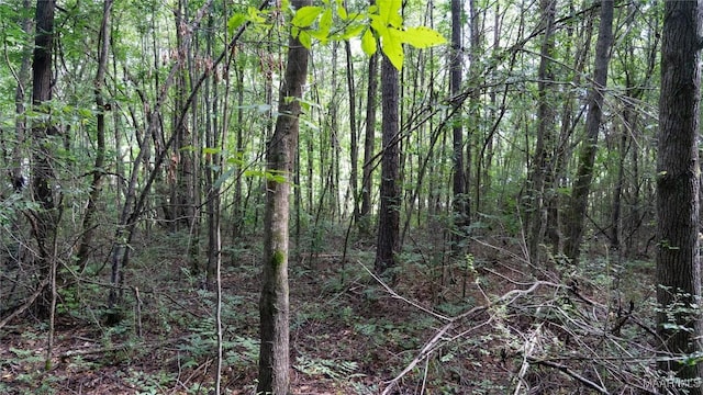 0 1st Pl S, Pell City, AL 35125 - photo 32