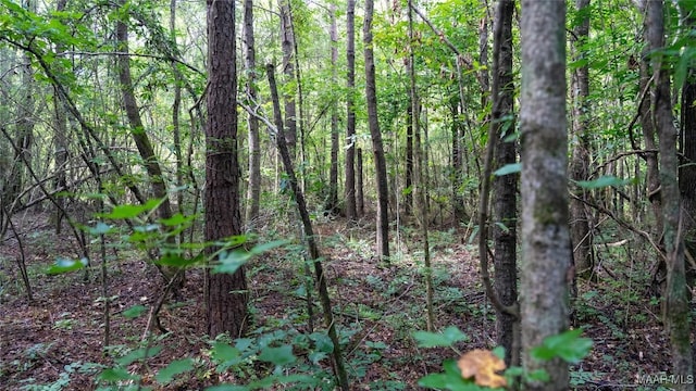 0 1st Pl S, Pell City, AL 35125 - photo 34