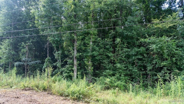 0 1st Pl S, Pell City, AL 35125 - photo 35