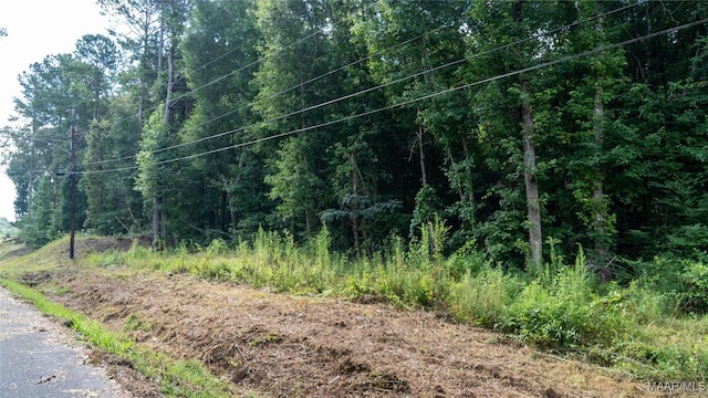 0 1st Pl S, Pell City, AL 35125 - photo 36
