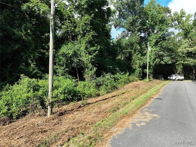 0 1st Pl S, Pell City, AL 35125 - photo 4