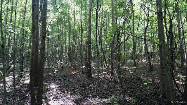 0 1st Pl S, Pell City, AL 35125 - photo 20