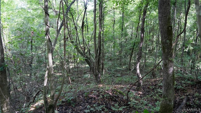 0 1st Pl S, Pell City, AL 35125 - photo 22