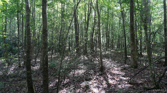 0 1st Pl S, Pell City, AL 35125 - photo 24