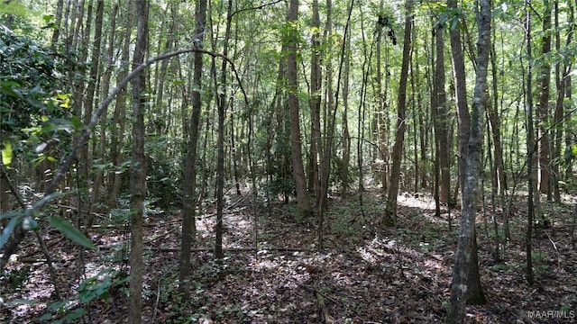 0 1st Pl S, Pell City, AL 35125 - photo 25
