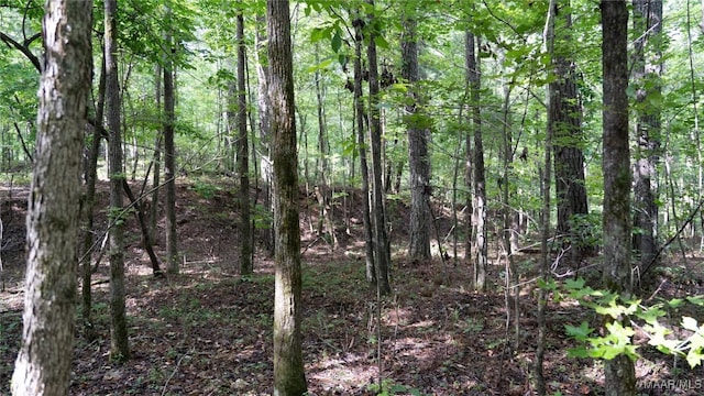 0 1st Pl S, Pell City, AL 35125 - photo 26
