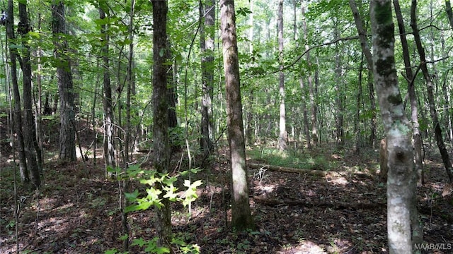0 1st Pl S, Pell City, AL 35125 - photo 27
