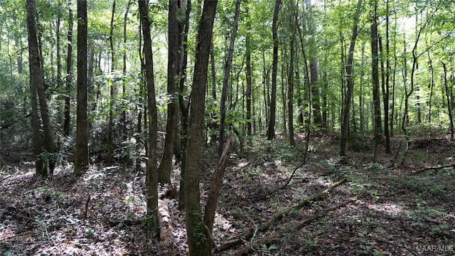 0 1st Pl S, Pell City, AL 35125 - photo 28