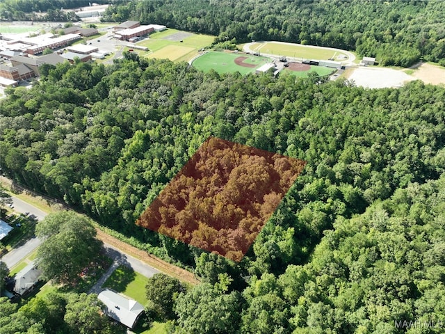0 1st Pl S, Pell City, AL 35125 - photo 1
