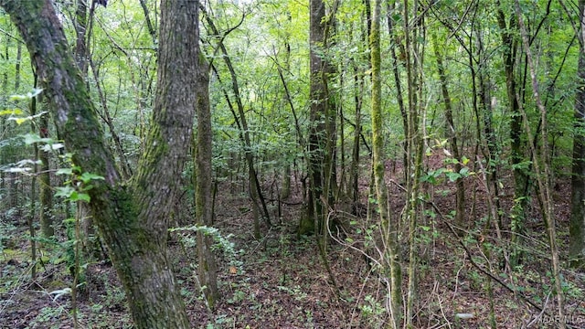 0 Coleman St, Pell City, AL 35128 - photo 9