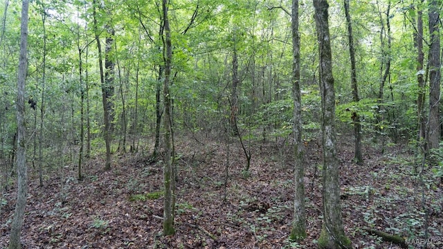 0 Coleman St, Pell City, AL 35128 - photo 12