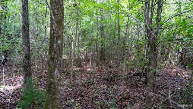0 Coleman St, Pell City, AL 35128 - photo 18