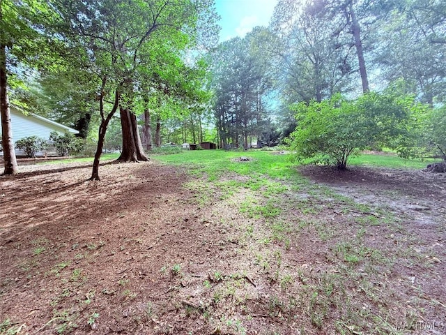 6431 Rives Rd, Elmore, AL 36025 - photo 19