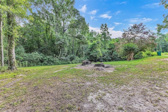 570 Titus Rd, Titus, AL 36080 - photo 12